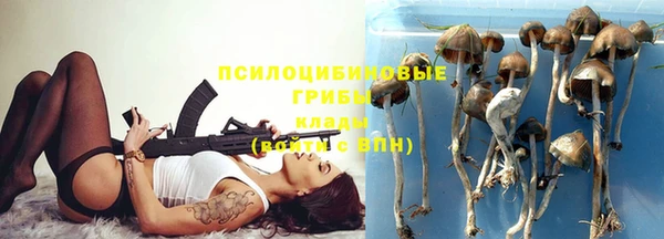 сатива Арсеньев