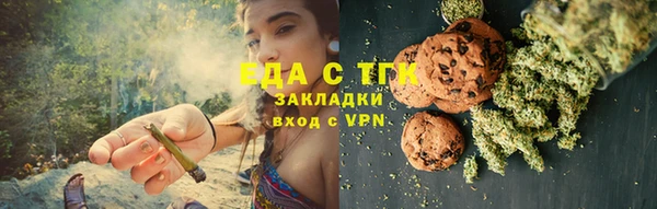 тгк Снежногорск